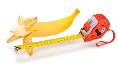 La dimensione normale del pene va da 13 a 17 cm